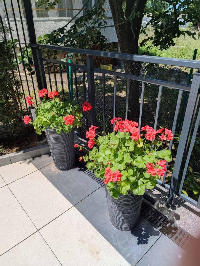 Apartament Kali Αγαθούπολη Εξωτερικό φωτογραφία